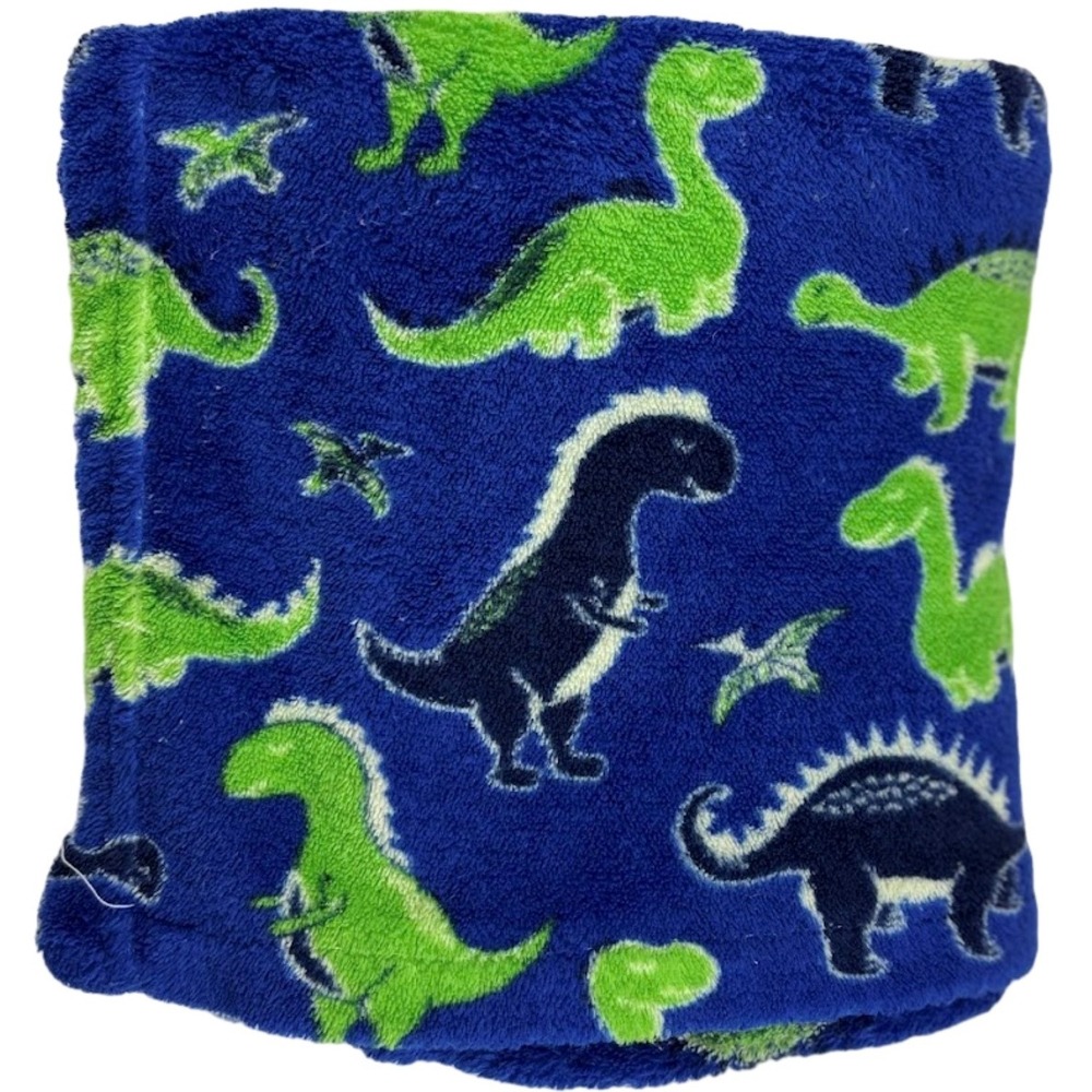 Sam Salem & Sons Blue Green Dinosaur Baby Blanket Soft Fleece‎ Lovey Boy
